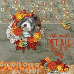 Pet All the Dogs