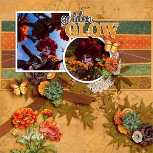 Golden Glow