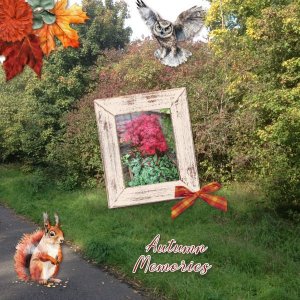 Autumn Memories