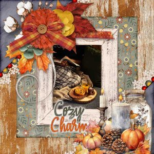Cozy Charm