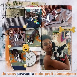 Je vous présente mon petit compagnon