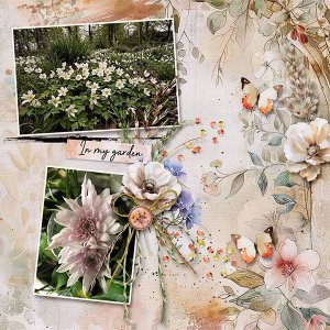 Re-arrange a Template Chall #5  Oct 2025