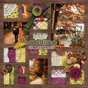 Woodland Enchantment
