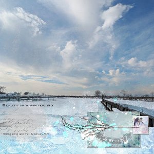 Winter Sky