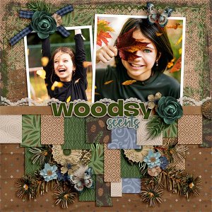 Woodsy Scents