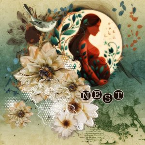 Nest for you