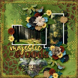 Majestic Woods