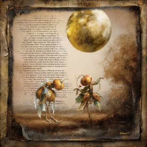 DANCING IN THE MOONLIGHT