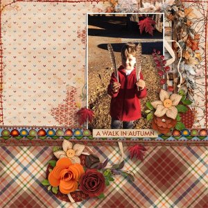 A Walk in Autumn