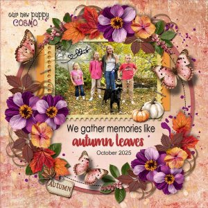 Autumn Memories