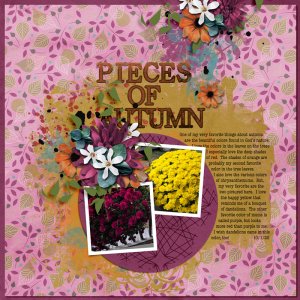Pieces-of-Autumn