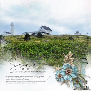 Cape-Spear-lights.jpg