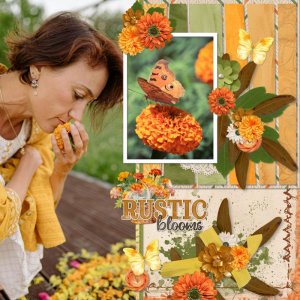Marigolds.jpg