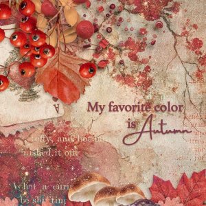 My favourite season is Autumn