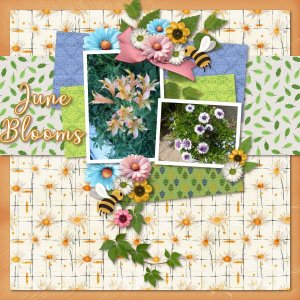 June Blooms