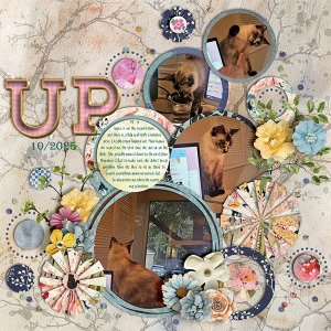 UP