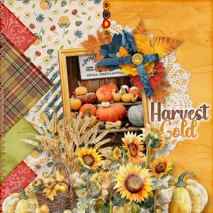 Harvest Gold
