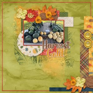Harvest Gold