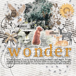 Wildwood Tales