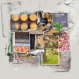 The Cider Farm