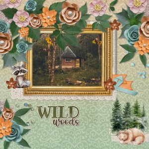 Wild woods.jpg