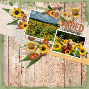 Sunflowers