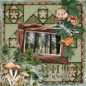 Wild Woods
