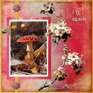 Oct.2025 Challenge #4 - Occasions and Themes-Fall-Autumn-Fly Agaric.jpg