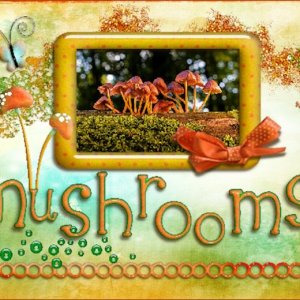 Oct.2025 Challenge #6 - Different Sizes Scrap-Mushrooms..jpg