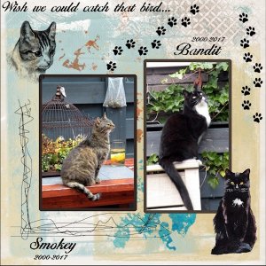 Oct.2025 Challenge #7 - WordArt-My Cats-birds....jpg