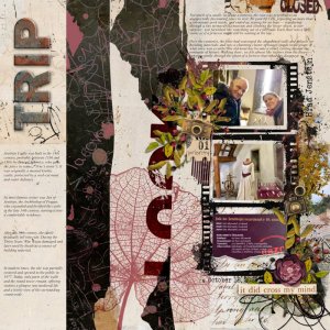 Trip