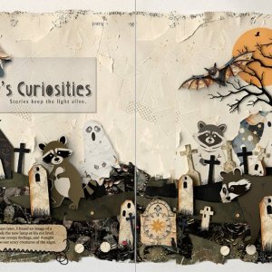 Today's Curiosities