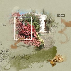 I love my garden in autumn