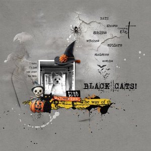Black Cats!