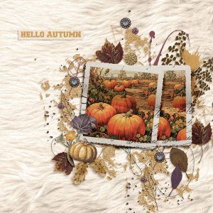 Hello Autumn