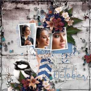 New Journey - October