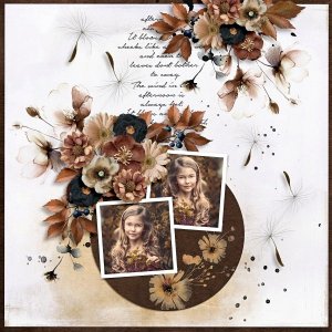 Fall afternoon All in One