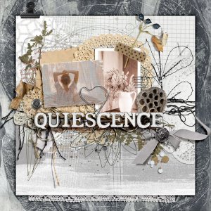 Quiescence