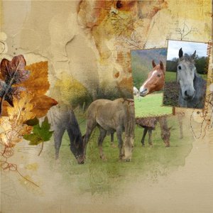 2025.10 AnnaLift2 10.24.11.07.2025.jpg