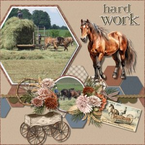 Farm Life in the Past