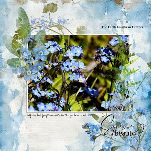 FORGET ME- NOT - SPRING BEAUTY