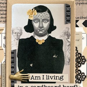 living in a cardboard box