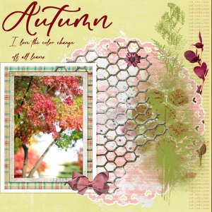 Nov.2025 Challenge # 7 - Font Challenge -Autumn colors.jpg