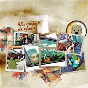 un amour de petit chien