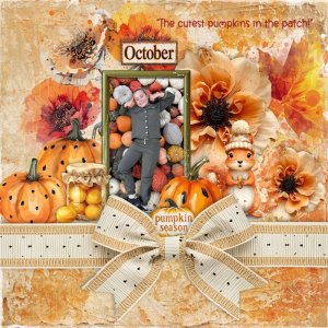 The cutest pumpkins in the patch