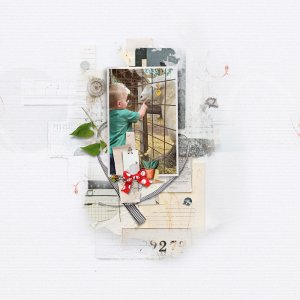 At the Amish Animal Farm