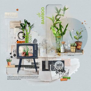 Days Filled with Hobbies