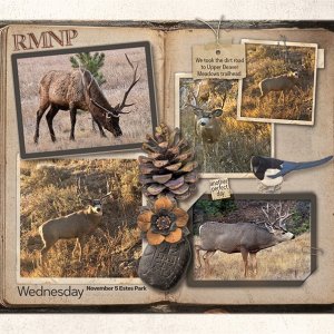 251105 Another Perfect Day 1000