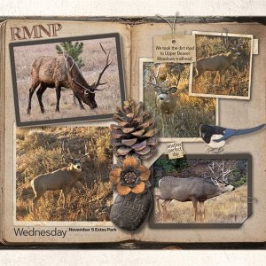 251105 Another Perfect Day 1000