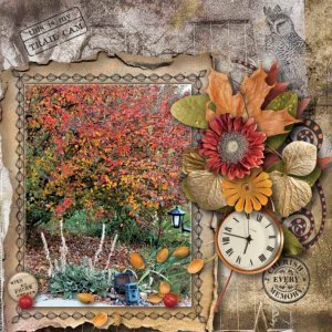 This is my trail Cam 1000